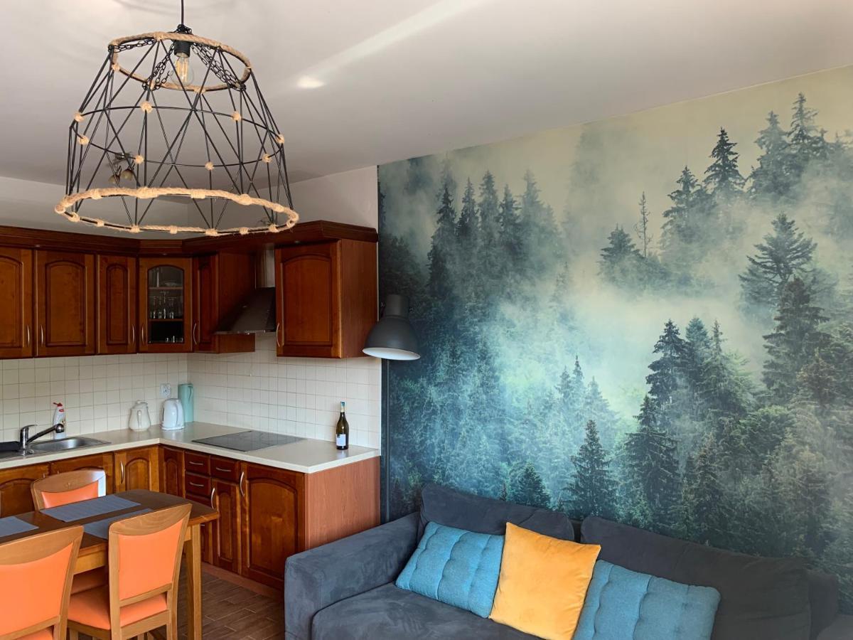 Apartament Na Wzgorzu Wisła Kültér fotó
